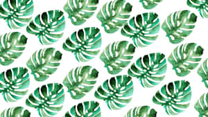 Green Monstera Leaves Pattern Wallpaper