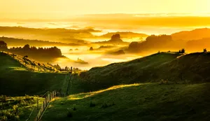 Green Mountains During Golden Sunset Wallpaper