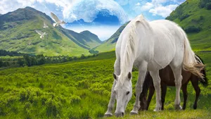 Green Mountains Horses Fantasy Art Wallpaper