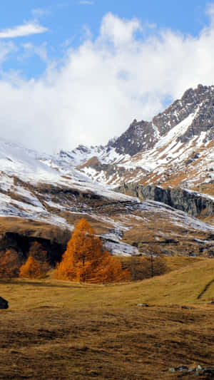 Green Mountains With Snow Falling Wallpaper