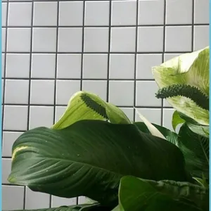 Green Plant Aesthetic Grid Tiles Wallpaper