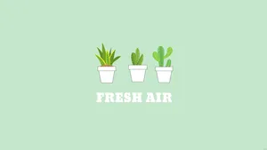Green Preppy Fresh Air Plants Wallpaper