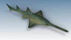 Green Sawfish Illustration Wallpaper