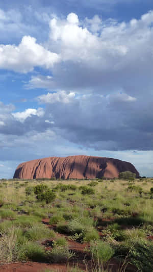 Green Shrubs Uluru Monolith Wallpaper