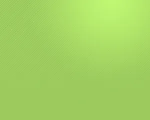 Green Solid Color Background Wallpaper Wallpaper