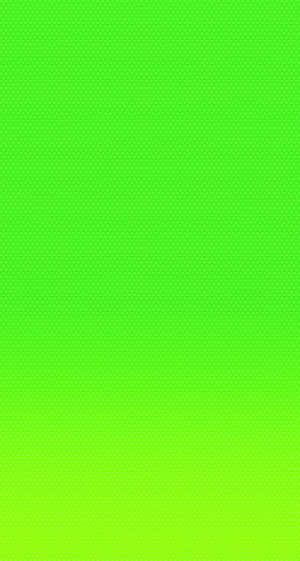 Green Solid Color Wallpaper Wallpaper