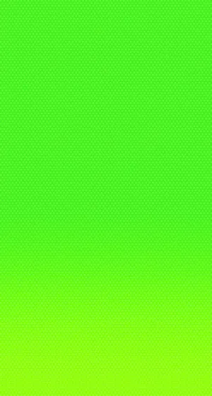 Green Solid Color Wallpaper Wallpaper