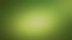 Green Texture Wallpaper Wallpaper