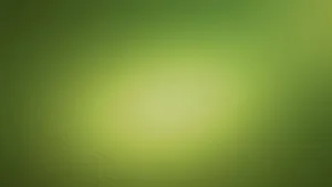 Green Texture Wallpaper Wallpaper