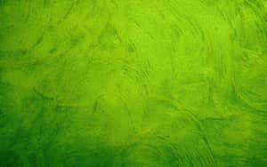 Green Textured Wall Paint Wallpaper