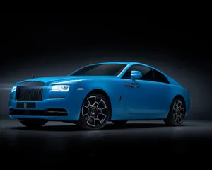 Green Trees In A Field Wallpaper