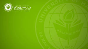 Green University Of Hawaii Windward Community College Wallpaper