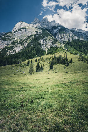 Green Valley In Austria Wallpaper