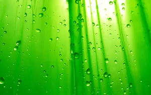 Green Water Droplets Texture Wallpaper