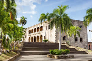 Greenery Surrounding The Alcazar De Colon Walkway Wallpaper