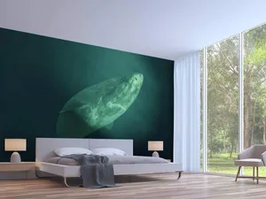Greenland Shark Wall Mural Bedroom Wallpaper