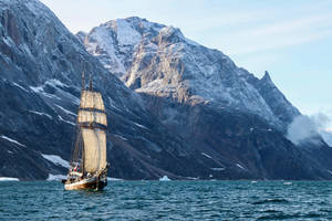 Greenland Vintage Ship Wallpaper