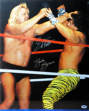 Greg Valentine Against Tiger Legging Wallpaper