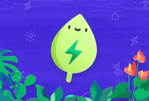 Gregarious Company Profile Wallpaper