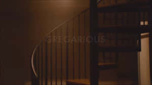 Gregarious Dark Stairs Wallpaper