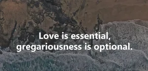 Gregarious Quote Landscape Wallpaper