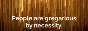 Gregarious Quote On Orange Curtains Wallpaper
