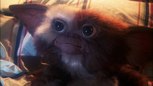 Gremlin From Gremlins Movie Looking Up Wallpaper