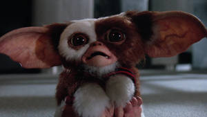 Gremlins 2 Wallpaper