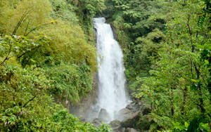 Grenada Concord Falls Wallpaper