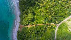 Grenada Private Beach Road Wallpaper