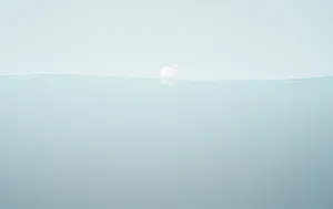 Grey Neutral Desktop Wallpaper