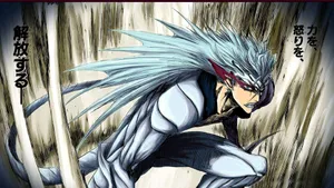 Grimmjow Jaegerjaquez, Bleach's 6th Espada Wallpaper
