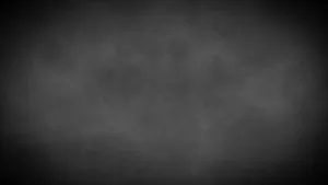 Gritty Black And White Ombre Wallpaper