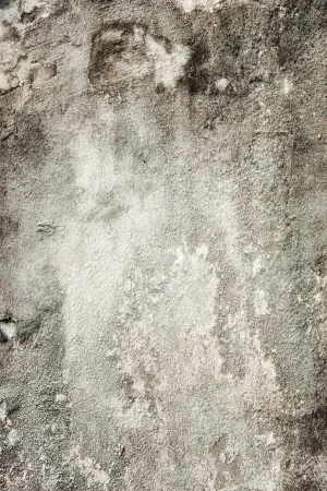 Gritty Coarse Wall Wallpaper