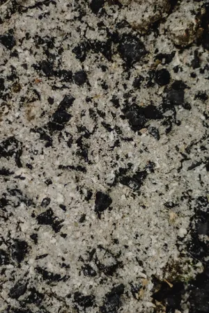 Gritty Sand Wallpaper