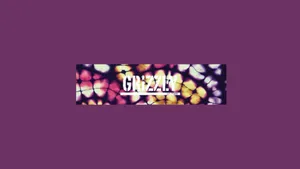 Grizzly Griptape Logo Design Wallpaper