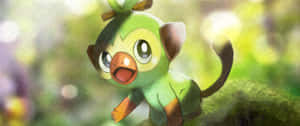 Grookey Pokemonin Nature Wallpaper