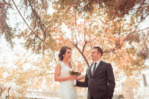 Groom And Bride Under The Tree Wallpaper