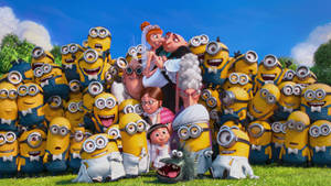 Gru's Wedding Picture Despicable Me 3 Wallpaper