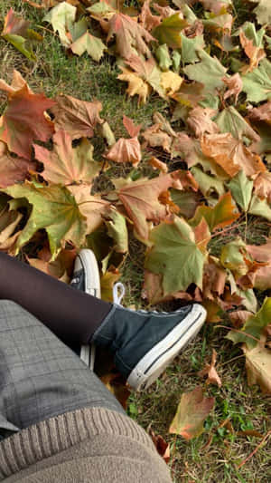 Grunge Autumn Leavesand Sneakers Wallpaper