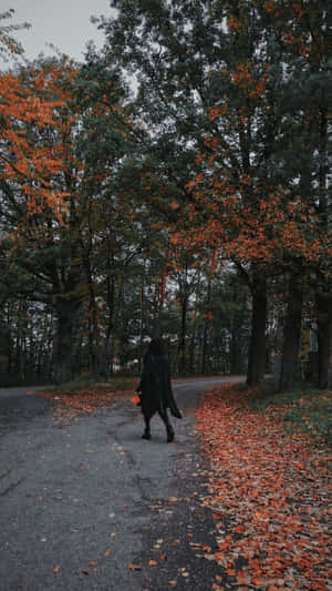 Grunge Autumn Walk Wallpaper