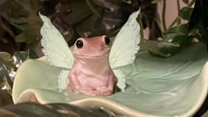 Grunge Fairycore Frog Wallpaper