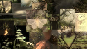 Grunge Fairycore Moodboard Wallpaper