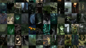 Grunge Fairycore Moodboard Wallpaper