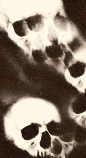 Grunge Goth Skull Shadows Wallpaper