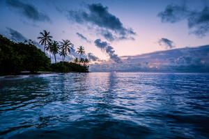 Guadeloupe Saint Anne Beach Wallpaper