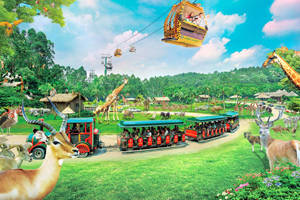 Guangzhou Chimelong Safari Park Wallpaper