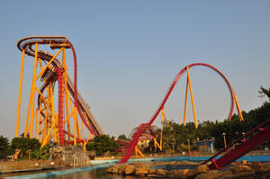 Guangzhou Dive Coaster Wallpaper