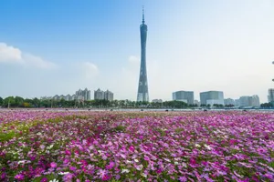 Guangzhou Haixinsha Park Wallpaper