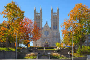 Guelph Church Autumn Season Wallpaper